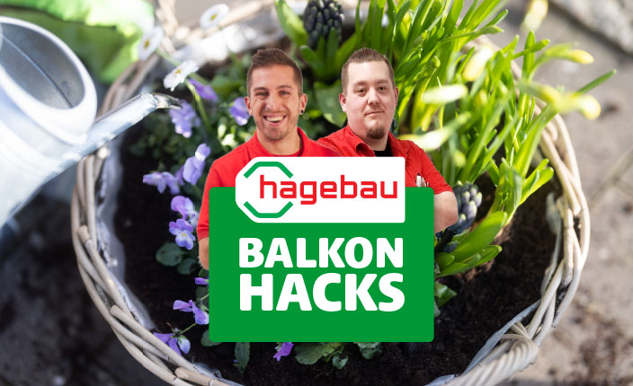 Zwei hagebau-Mitarbeiter vor einem bepflanzten Korb mit Frühlingsblumen und Gießkanne, darüber das Logo „hagebau Balkon Hacks“.