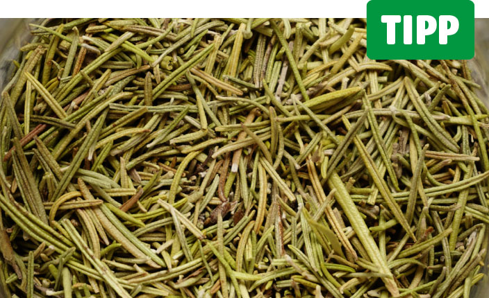 Eine große Menge getrockneter Rosmarinnadeln liegt dicht beieinander in einer Schale oder auf einer Oberfläche. Oben rechts steht in weißer Schrift auf grünem Grund: Tipp
