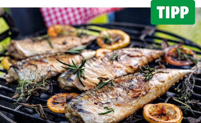 Vier ganze Fische liegen nebeneinander auf einem runden Grillrost und sind mit frischen Kräutern wie Rosmarin sowie mit Zitronenscheiben belegt. Im Hintergrund ist ein rot-weiß kariertes Tuch zu sehen. Oben rechts steht in weißer Schrift auf grünem Grund: Tipp