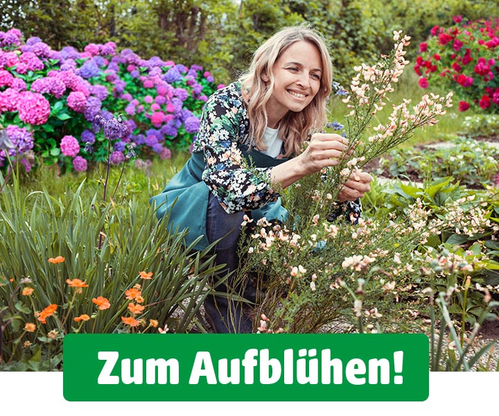 Eine Frau kniet lächelnd in einem Gartenbeet und pflegt eine Pflanze. Im Hintergrund blühen zahlreiche bunte Hortensien, Rosen und andere Sommerblumen. Unten im Bild steht der Text „Zum Aufblühen!“.
