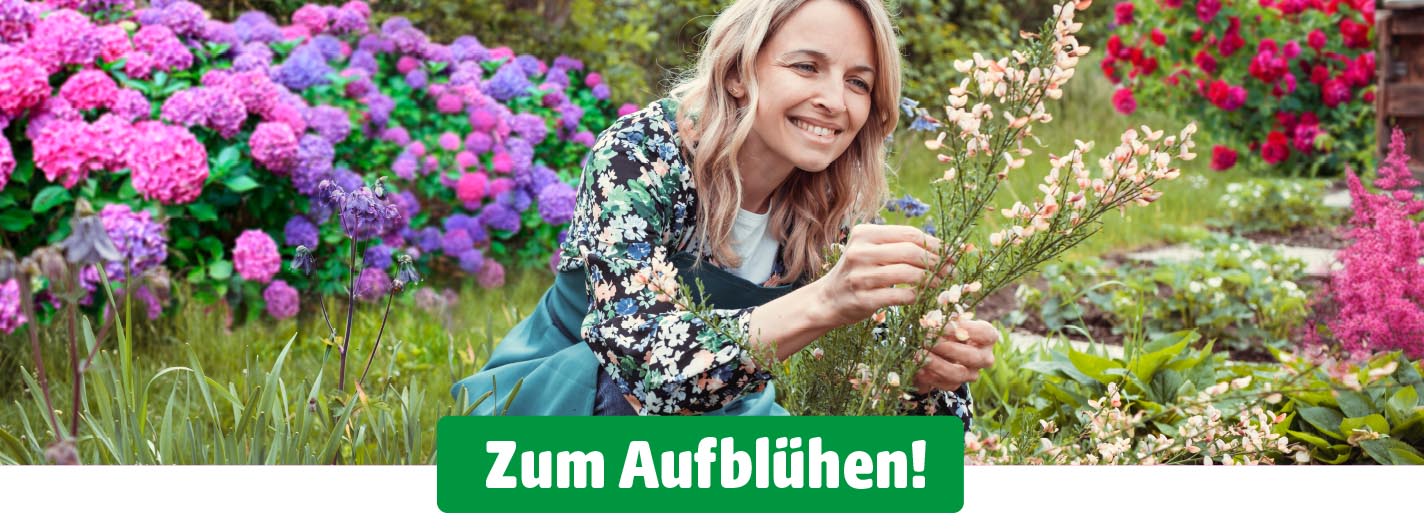 Eine Frau kniet lächelnd in einem Gartenbeet und pflegt eine Pflanze. Im Hintergrund blühen zahlreiche bunte Hortensien, Rosen und andere Sommerblumen. Unten im Bild steht der Text „Zum Aufblühen!“.