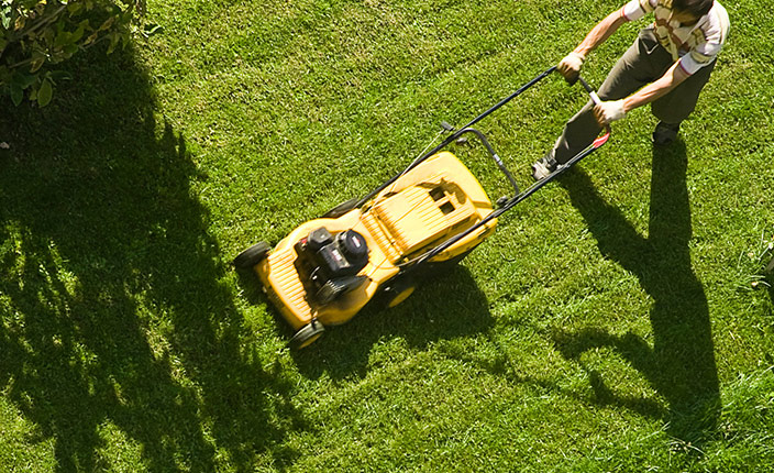 Eine Person mäht bei Sonnenschein den Rasen mit einem gelben Benzinrasenmäher – von oben betrachtet fällt der Schatten des Mähers deutlich auf das frisch geschnittene Gras.
