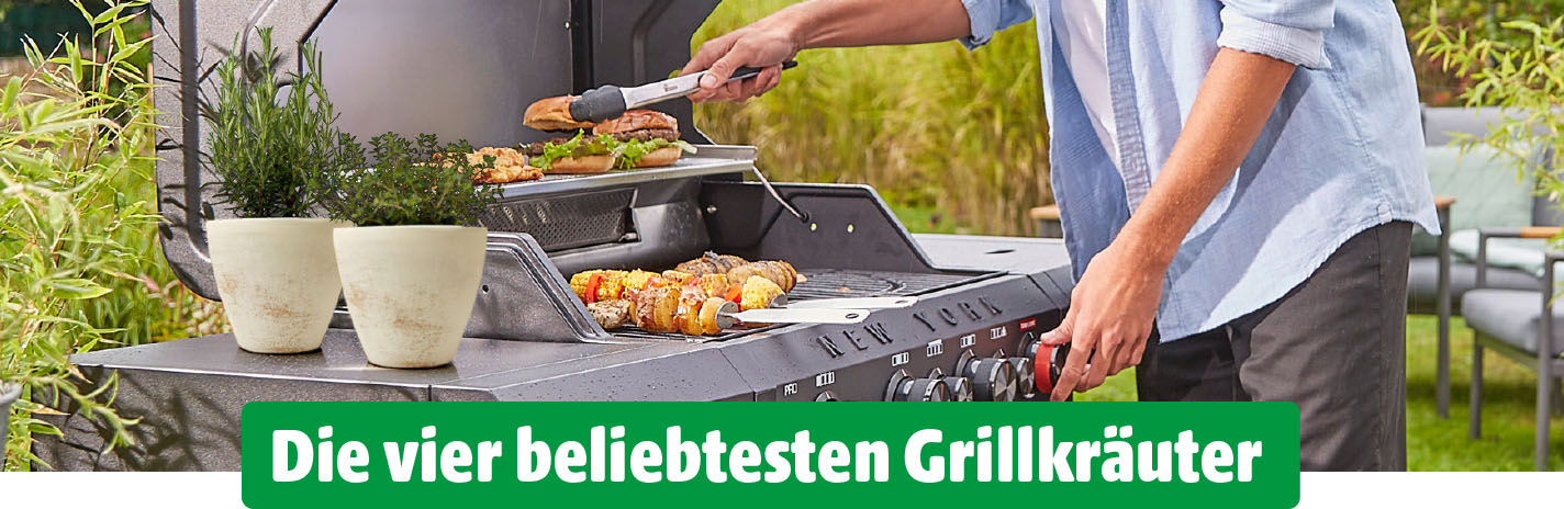 Ein Mann steht an einem Grill und wendet mit einer Zange Gemüse und Fleisch. Auf der Ablage stehen zwei Töpfe mit Kräutern. Am unteren Rand steht in weißer Schrift auf grünem Grund: Die vier beliebtesten Grillkräuter