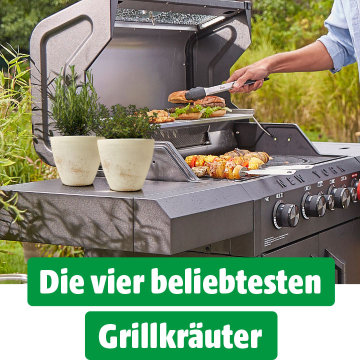 Ein Mann steht an einem Grill und wendet mit einer Zange Gemüse und Fleisch. Auf der Ablage stehen zwei Töpfe mit Kräutern. Am unteren Rand steht in weißer Schrift auf grünem Grund: Die vier beliebtesten Grillkräuter