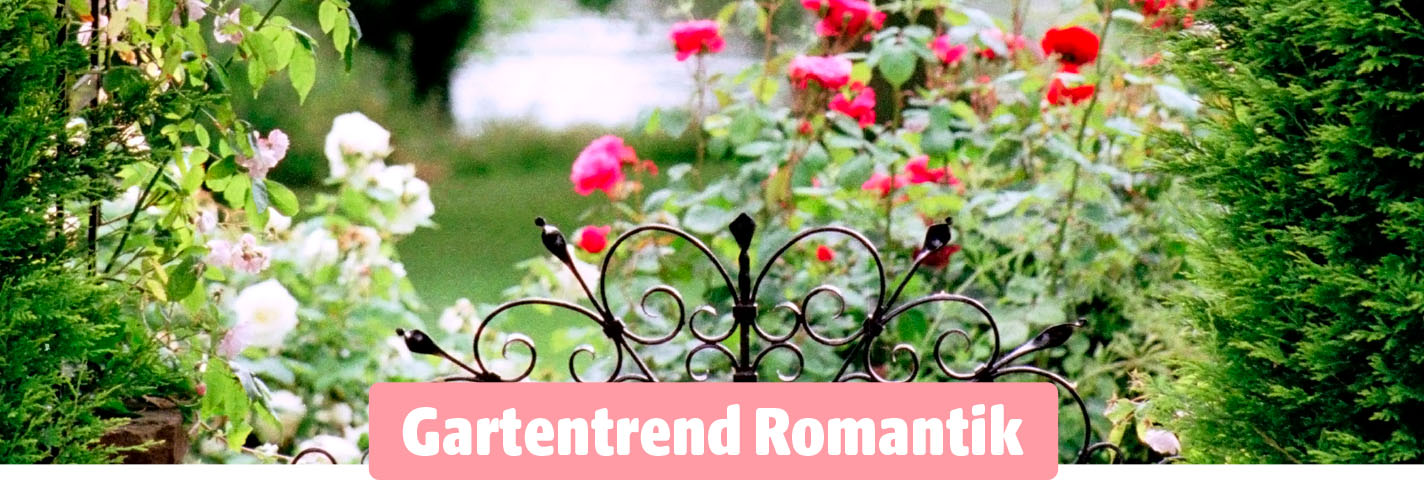 Verspieltes Gartentor aus Schmiedeeisen, umgeben von blühenden Rosen und grünem Pflanzenwuchs im romantischen Gartenstil.