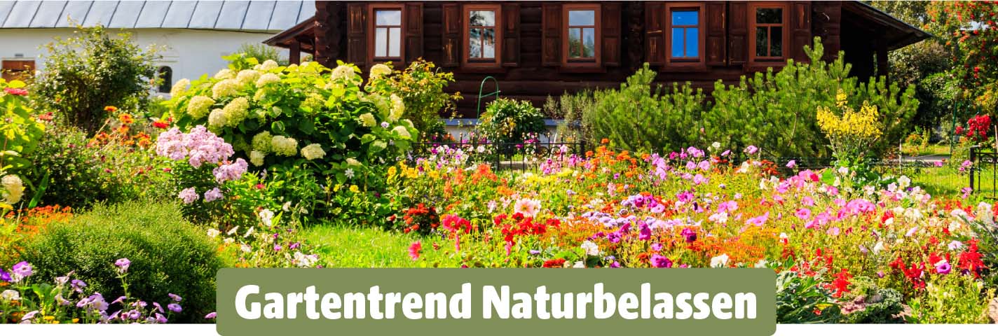 Ein naturnaher Garten mit bunten Wildblumen vor einem rustikalen Holzhaus.