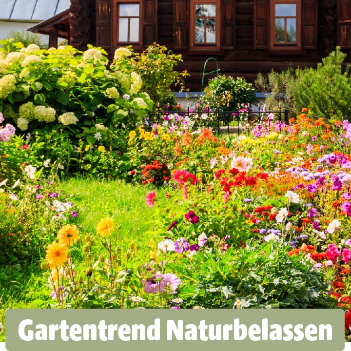 Ein naturnaher Garten mit bunten Wildblumen vor einem rustikalen Holzhaus.