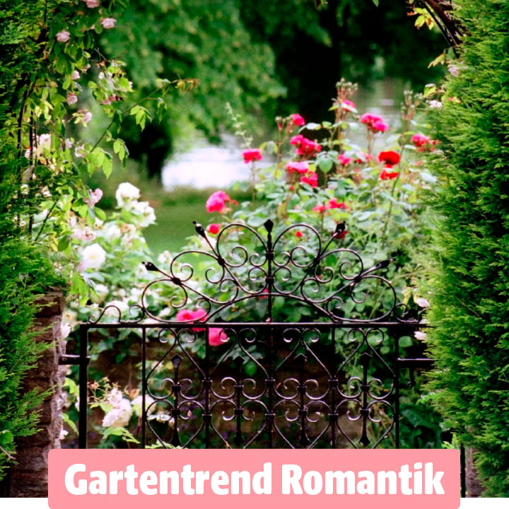 Verspieltes Gartentor aus Schmiedeeisen, umgeben von blühenden Rosen und grünem Pflanzenwuchs im romantischen Gartenstil.