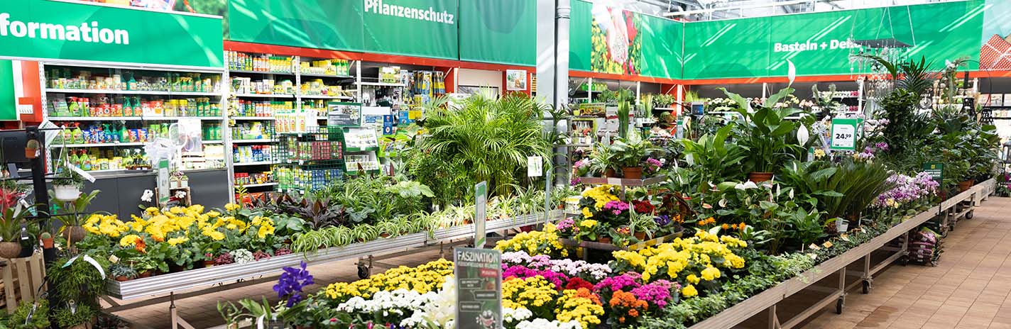Blühende Zierpflanzen in leuchtenden Farben werden im Gartencenter in einen Pflanztopf gesetzt – ideale Auswahl für Garten- und Balkonstile. Rechts daneben befindet sich ein Textfeld mit der Überschrift „Dein Gartencenter in der Nähe“.