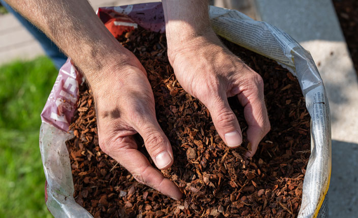 Jemand hält Mulch in den Händen von der Marke Floragard