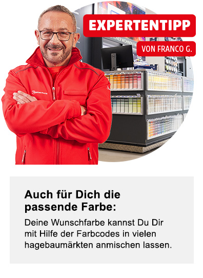 Eine darstellung von einem Experten mit einem Expertentipp für die passende Farbe