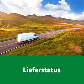 Lieferstatus