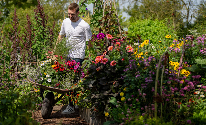 Ein Mann schiebt Blumen auf einer Schubkarre an anderen Blumen vorbei