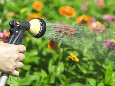 Nahaufnahme von einem Wasserschlauch mit Brauseaufsatz, mit dem Blumen gewässert werden