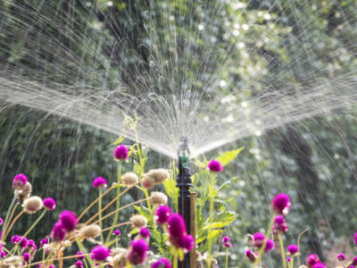 Gartenbewässerung mit Sprenger