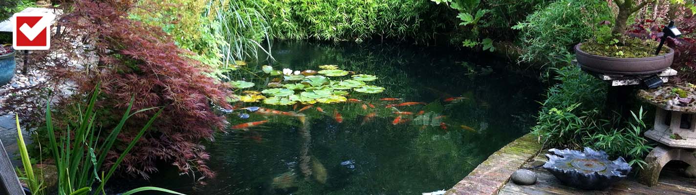 Zeigt einen schönen Gartenteich.
