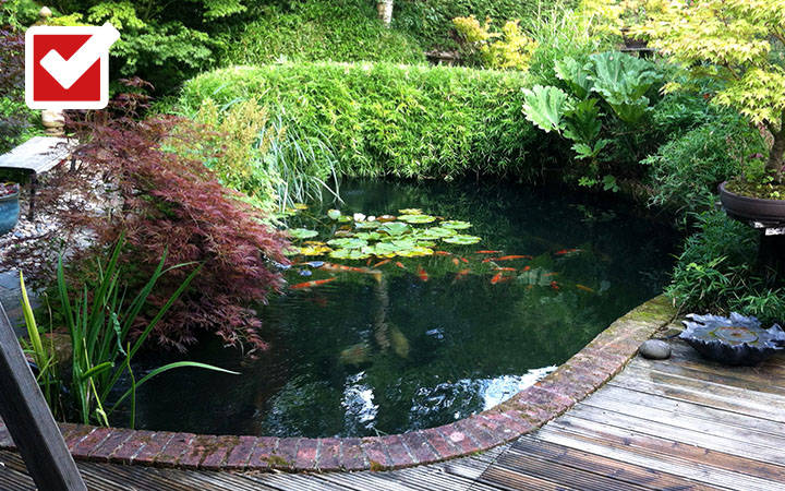 Zeigt einen schönen Gartenteich