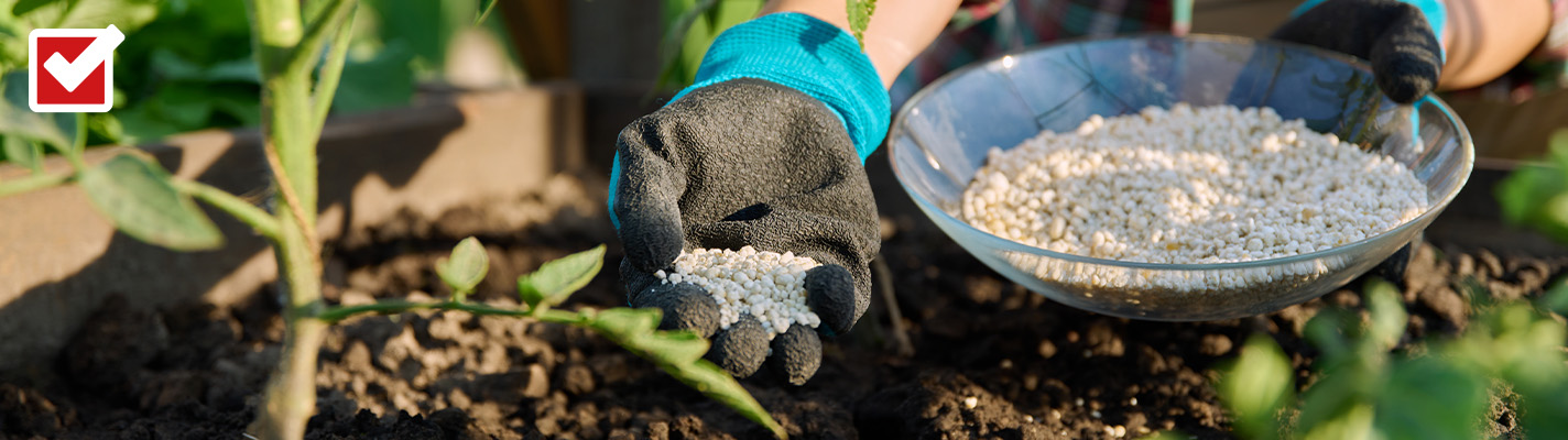 Jemand düngt sein Bett.