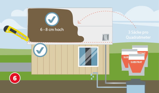 Dachbegrünung anlegen Schritt 6