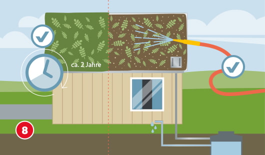 Dachbegrünung anlegen Schritt 8