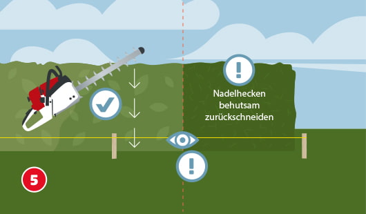 Anleitung Hecke schneiden