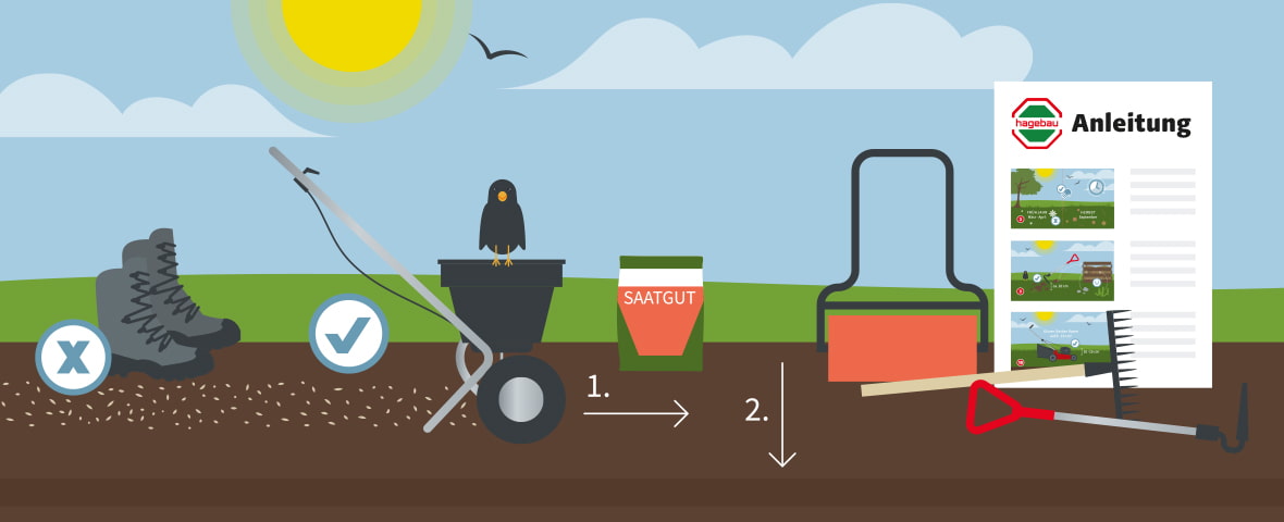 Eine schematische Darstellung zeigt die richtige Vorgehensweise beim Säen von Rasensamen. Links sind Stiefel mit einem X markiert, daneben ein Streuwagen mit einem Häkchen und einem Vogel auf dem Griff. In der Mitte steht eine Saattüte mit der Aufschrift „Saatgut“, daneben ist der erste Schritt mit einem Pfeil markiert. Rechts befinden sich ein Rasenwalzer, Rechen und eine Anleitung mit drei bebilderten Schritten. Schritt 2 zeigt das anschließende Andrücken der Samen