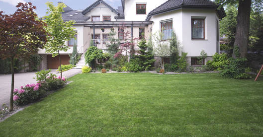 Ein gepflegter grüner Vorgarten mit nachgesätem Rasen liegt vor einem modernen Einfamilienhaus mit weißen Fassaden