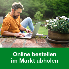 Online bestellen und im Markt abholen