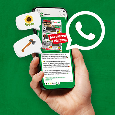 Smartphone mit dem geöffnetem hagebau WhatsApp Kanal